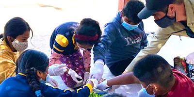 educacion-ambiental-web