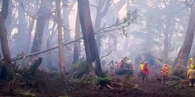 Timaukel-contencion-web