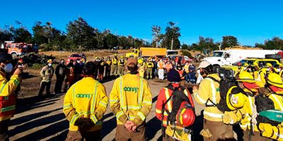 amarila-Timaukel-web