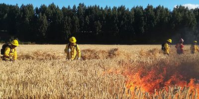 brigadas-LosRios-web