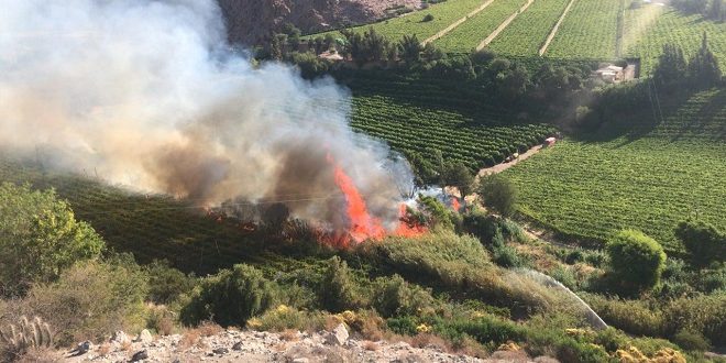 foto incendio Coquimbo