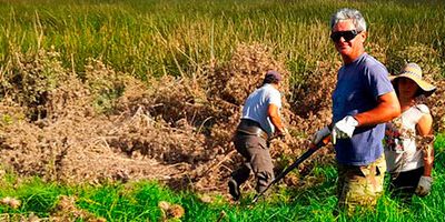 humedales-Rapa-Nui-web2
