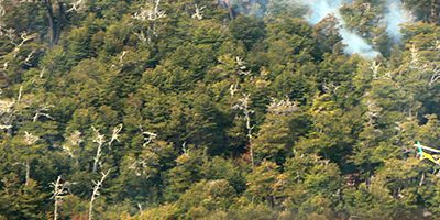 incendio-timaukel-web