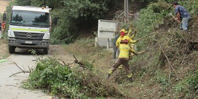 Operativo-Los-Copihues200