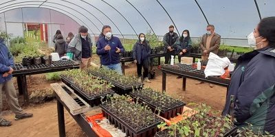 dia de la tierra vivero huichaco 200