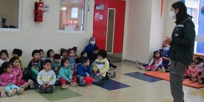 Jardín Bloque de Colores 200