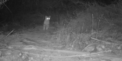 M2L0P15E63A22B537C00-P0E0A0B0C00-E0A0B0C00-E0A0B0C00-E0A0-C63,22