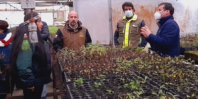 DE-gira_araucania200