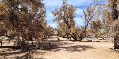 IF-RNLosFlamencos200