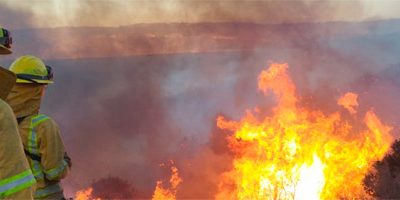 IF-brigadas_valpo200