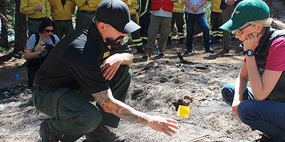 investiga_causasIF-EEUU200