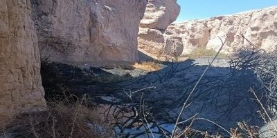 IF-antofa_ojodeapache200