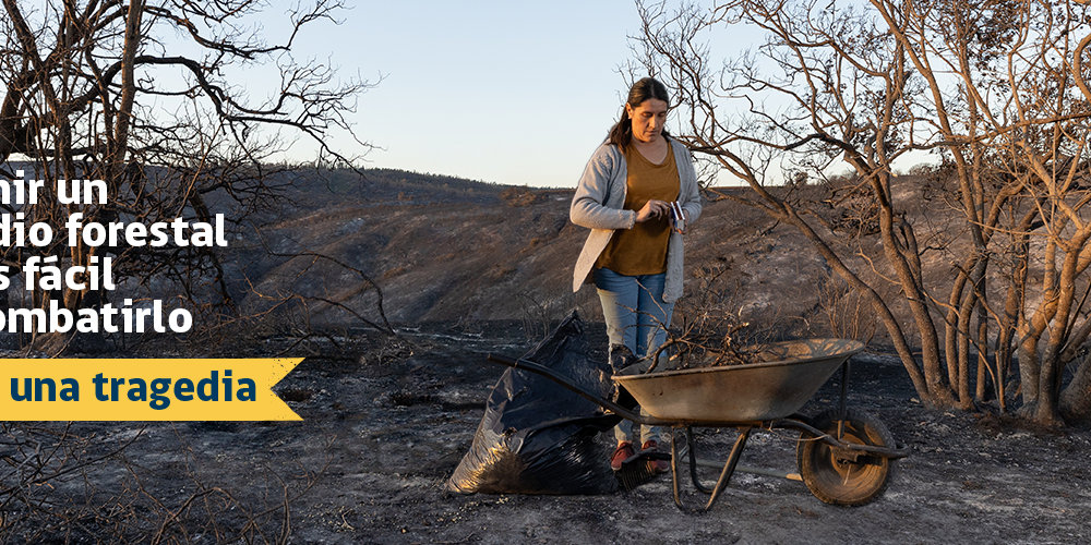 Conaf_Portada TW – 01