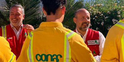 brigadistas-director_clittle200