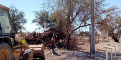 Tala ilegal La Tirana 1