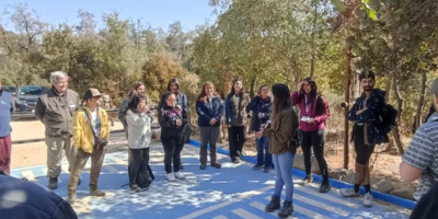 Taller discapacidad (1)