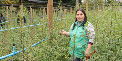 Vivero Los Ríos + Fao