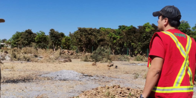 Pica quemas agricolas 1