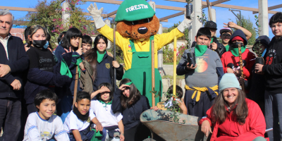 Arborizacion Villa Alemana 1