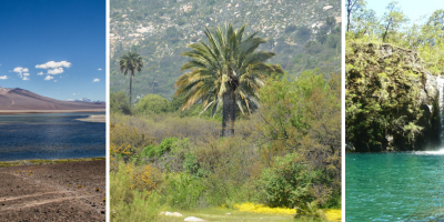 Día Internacional Parques Nacionales