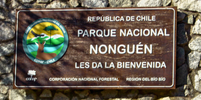 Nonguén